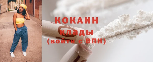 дживик Богородицк