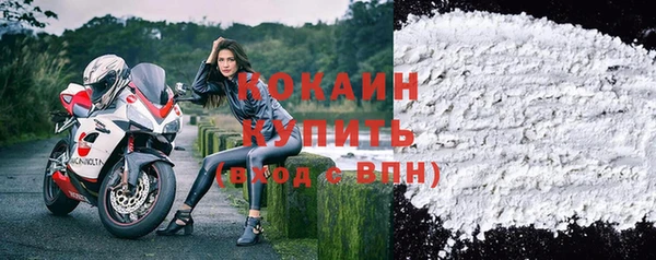 дживик Богородицк