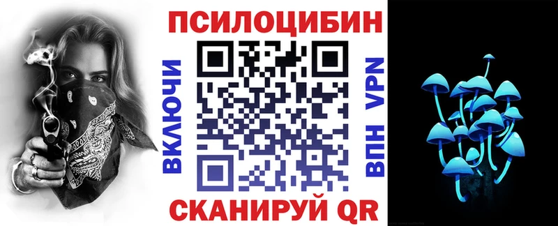 Купить где  Пионерский  Псилоцибиновые грибы ЛСД 
